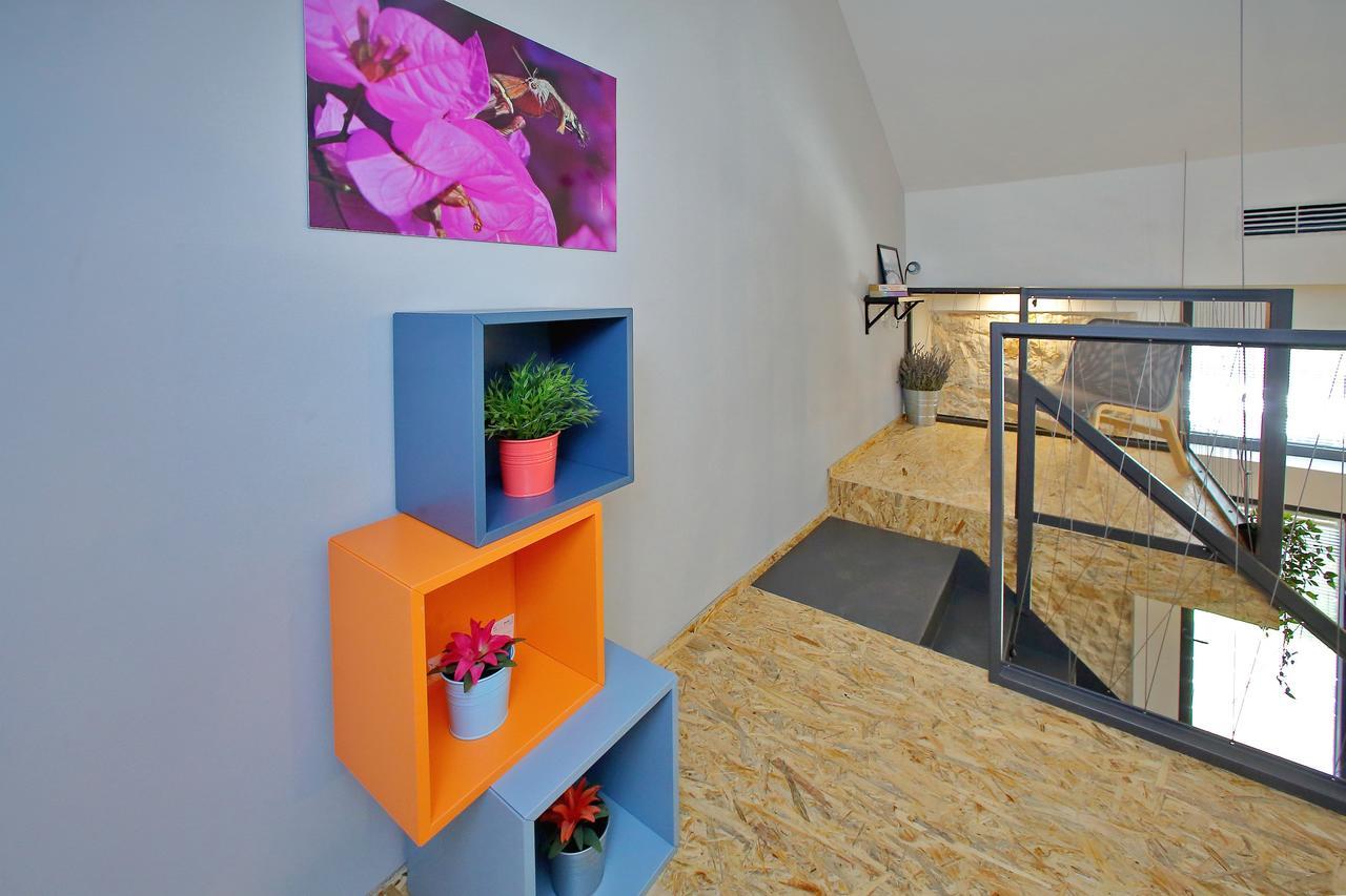 זאדאר Guverna New City Accommodation מראה חיצוני תמונה